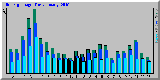 Hourly usage for January 2019