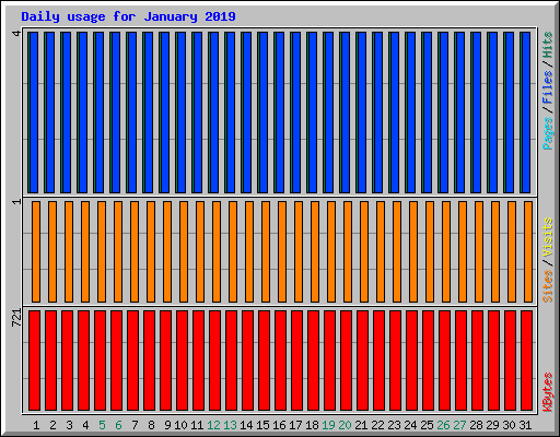 Daily usage for January 2019
