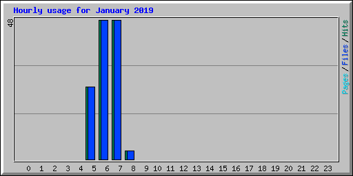 Hourly usage for January 2019